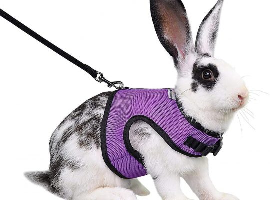 Rabbit Vest Harness with Leash